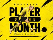 هالاند يحصد جائزة لاعب شهر نوفمبر في الدوري الألماني.. فيديو