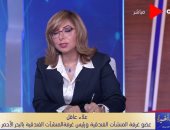 المنشآت الفندقية: احتفالات رأس السنة قاصرة على العشاء المميز والبرامج الترفيهية