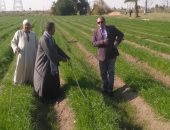 الزراعة: مصاطب الرى الحديث تسهم فى زيادة الانتاج وتخفيض التكاليف.. صور