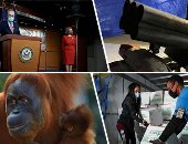 العالم هذا الصباح.. ضبط منصة صواريخ استهدفت السفارة الأمريكية بالعاصمة العراقية.. الولايات المتحدة تبدأ عملية توزيع لقاح موديرنا ضد فيروس كورونا.. الكونجرس الأمريكي يصل إلى اتفاق بشأن حزمة مساعدات تاريخية.. صور