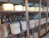 ضبط مصنعين لصناعة الجبن بدون ترخيص في حملة تموينية شرق قناة السويس