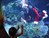 البهجة من تحت الماء.. بابا نويل يقدم هدايا للأسماك ويداعب زوار "أكواريوم بانكوك"