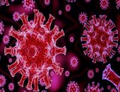 "الصحة" تسجل 951 إصابة جديدة بفيروس كورونا و63 حالة وفاة وخروج 739 متعافيًا