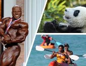 العالم هذا الصباح.. أوباما وزوجته يخوضان تجربة التجديف فى هاواى بملابس السباحة.. احتفالات حديقة الحيوانات في ألمانيا بعيد الميلاد.. بطولة مستر أولمبيا تستعرض أبطالها فى 2020 بجميع الفئات.. صور 