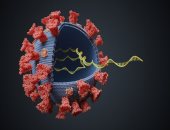 حصاد 2020.. 9 حقائق عن فيروس كورونا عرفها العلماء خلال عام