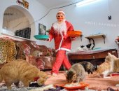 بابا نويل يحتفل بالسنة الجديدة فى ملجأ للقطط وهدايا الكريسماس عيش وتونة