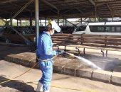 تطهير وتعقيم موقفى الإسماعيلية العمومى والفردوس لمواجهة كورونا.. صور