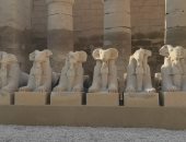 شاهد تماثيل كباش الكرنك قبل افتتاح وزير الآثار والسياحة مشروع انقاذ 29 تمثال 