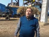 رصد بدء موسم إنتاج السكر من القصب داخل مصنع كوم أمبو.. فيديو