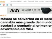 صحيفة أرجنتينية: المكسيك تخطط للاستحواذ على سوق الماريجوانا فى العالم