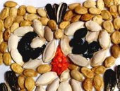 بالحبوب واللب.. "منى" تشارك صحافة المواطن برسومات من الطبيعة