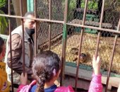 حديقة الحيوان بالجيزة تفتح أبوابها لاستقبال الزائرين للاحتفال بعيد الميلاد 