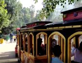 حديقة الحيوان بالجيزة تبدأ تشغيل الطفطف لنقل الزوار لأماكن الحيوانات