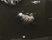 التصريح بدفن جثة طالب ثانوى لقى مصرعه غرقا فى نهر النيل بالصف