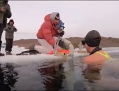 روسية تسبح 85 مترا تحت المياه المتجمدة ببحيرة بايكال وتسجل رقمًا قياسيًا..فيديو