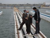 شركة مياه الشرب بالإسكندرية تتابع ضغط المياه استعدادا لبطولة كأس العالم لليد