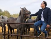 حكيم يكشف عن حبه للخيول × 3 صور.. ويعلن عن عزومة لـ10 من متابعيه