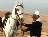 محمد لطفى يرقص مع الخيل من أمام الأهرامات على أغنية الهضبة.. فيديو وصور