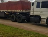 ضبط 10 أطنان مخدرات مخبأة فى شاحنة بالأرجنتين بمساعدة كلب" بوليسى "