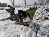 زراعة وصيد ولعب كمان.. الحياة بطعم الثلج فى الهند