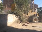 محافظة الجيزة تشن حملات لرفع الإشغالات ومتابعة إجراءات الوقاية من كورونا.. صور