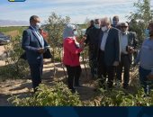 محافظ جنوب سيناء: مقترح لزيادة زراعة بعض أنواع النباتات التى تجود زراعتها بالطور