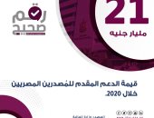 الحكومة: 21 مليار جنيه حجم الدعم المقدم للمصدرين المصريين فى 2020