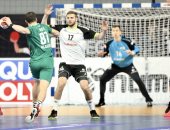 سويسرا تهزم الجزائر 27 / 24 وتراقب مواجهة النرويج وأيسلندا فى المونديال