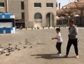 محمد رجب وابنه يوسف يطعمان الحمام فى ساحة المسجد النبوى.. فيديو وصور