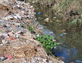 شكوى من تراكم القمامة بترعة العلا بمنطقة النهضة بالإسكندرية.. والشركة ترد