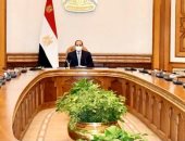 الرئيس السيسى: حجم المشروعات القومية العملاقة بمصر فرصة للاستثمار الأجنبى