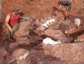 أضخم كائن على الإطلاق.. الأرجنتين تعثر على عظام أكبر ديناصور فى العالم