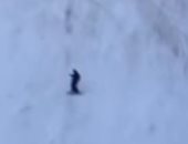 متزلج يهرب من مطاردة دب ضخم أعلى منحدر ثلجى فى رومانيا بحيلة ذكية.. فيديو 