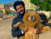  "الكلب بندق" يظهر فى تدريبات الاتحاد السكندري .. صور