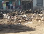 شكوى من تراكم القمامة فى طرقات قرية صندفا بمحافظة المنيا.. ورئيس المدينة يرد