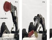 علماء يطورون روبوتًا لديه يد من نبات مصائد الذباب