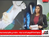 الإجابات الحاسمة عن فيروس نيباه.. وسوابق انتشاره فى تغطية تليفزيون اليوم السابع