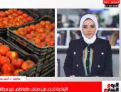 تفاصيل تحذير الزراعة من صنف طماطم متداول فى تغطية تليفزيون اليوم السابع
