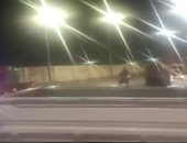 هطول أمطار ثلجية على محافظة الشرقية.. فيديو