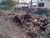 أهالى منطقة العجيزى بطنطا يشكون من عدم استكمال تغطية الترعة.. ورئيس المدينة يرد