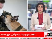 الكلاب البوليسية.. أغرب طرق الكشف عن كورونا على تليفزيون اليوم السابع