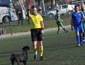 أول بطاقة حمراء.. حكم يطرد كلبا فى مباراة بدورى الدرجة الثانية فى صربيا