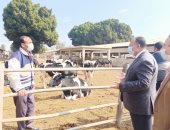 محافظ أسيوط: حملات مستمرة لمتابعة المشروعات الإنتاجية.. صور