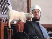 صورة قطة رافقت أسامة الأزهري كأنها تقبله بأحد دروسه في الجامع الأزهر
