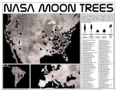 ناسا تكشف عن خريطة أشجار القمر على الأرض.. اعرف تفاصيل القصة