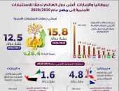 الحكومة: بريطانيا والإمارات أعلى دول العالم تدفقا للاستثمارات بمصر 2020/2019