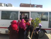 "صحة أسوان" تنظم حملة التطعيم المحدود ضد شلل الأطفال