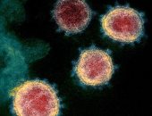 استشارى مناعة يوضح حقيقة انتشار سلالة جديدة لكورونا والعودة لارتداء الكمامة