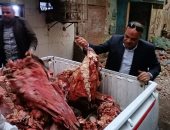 ضبط لحوم فاسدة وتشميع مخزن للتنر بالطالبية.. صور