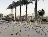 مشهد أوروبى.. اعرف حكاية تجمع حمام الإنجليز بميدان شهداء بورسعيد (فيديو وصور)